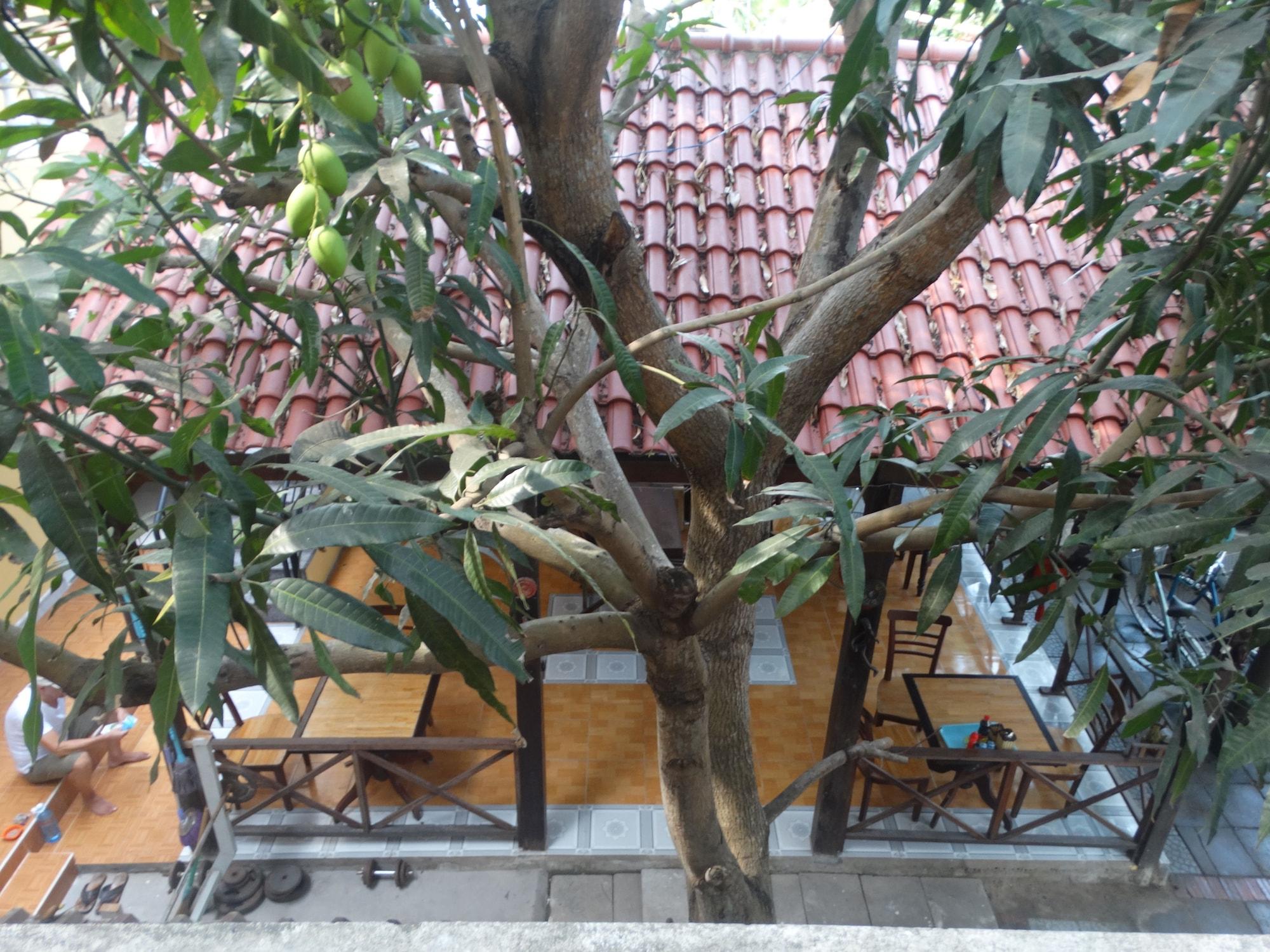 Yellow House Homestay Хойан Экстерьер фото