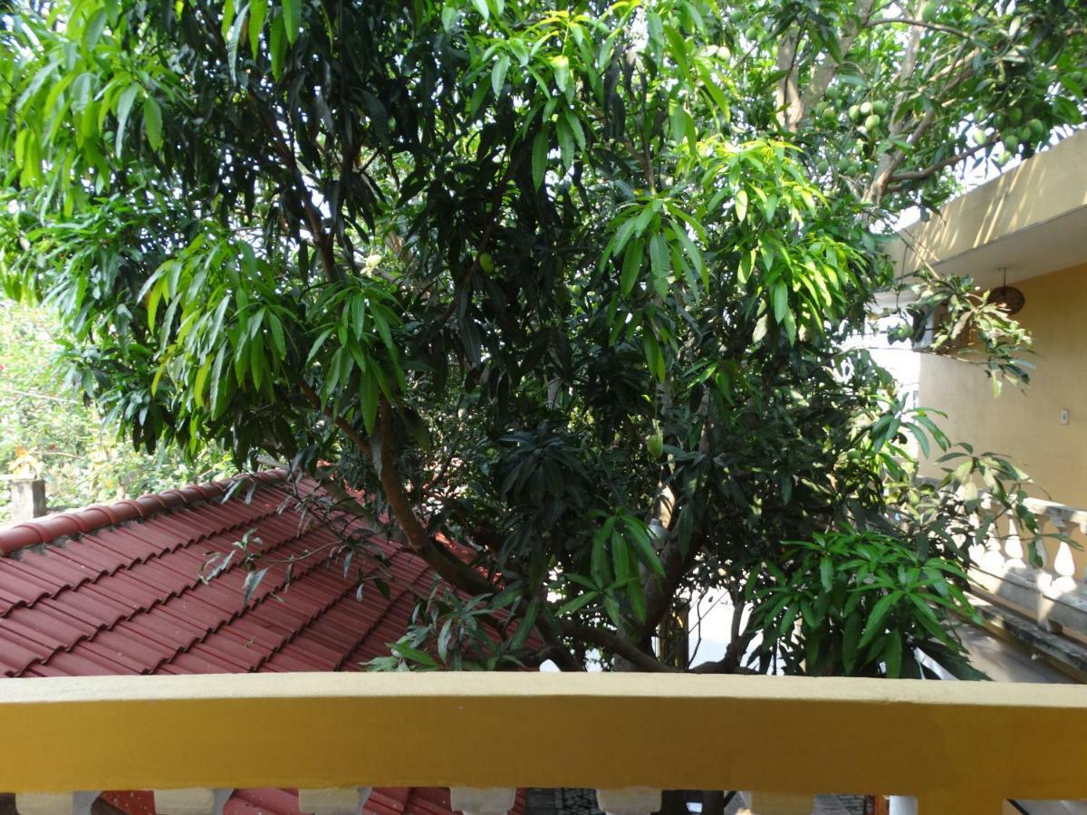 Yellow House Homestay Хойан Экстерьер фото